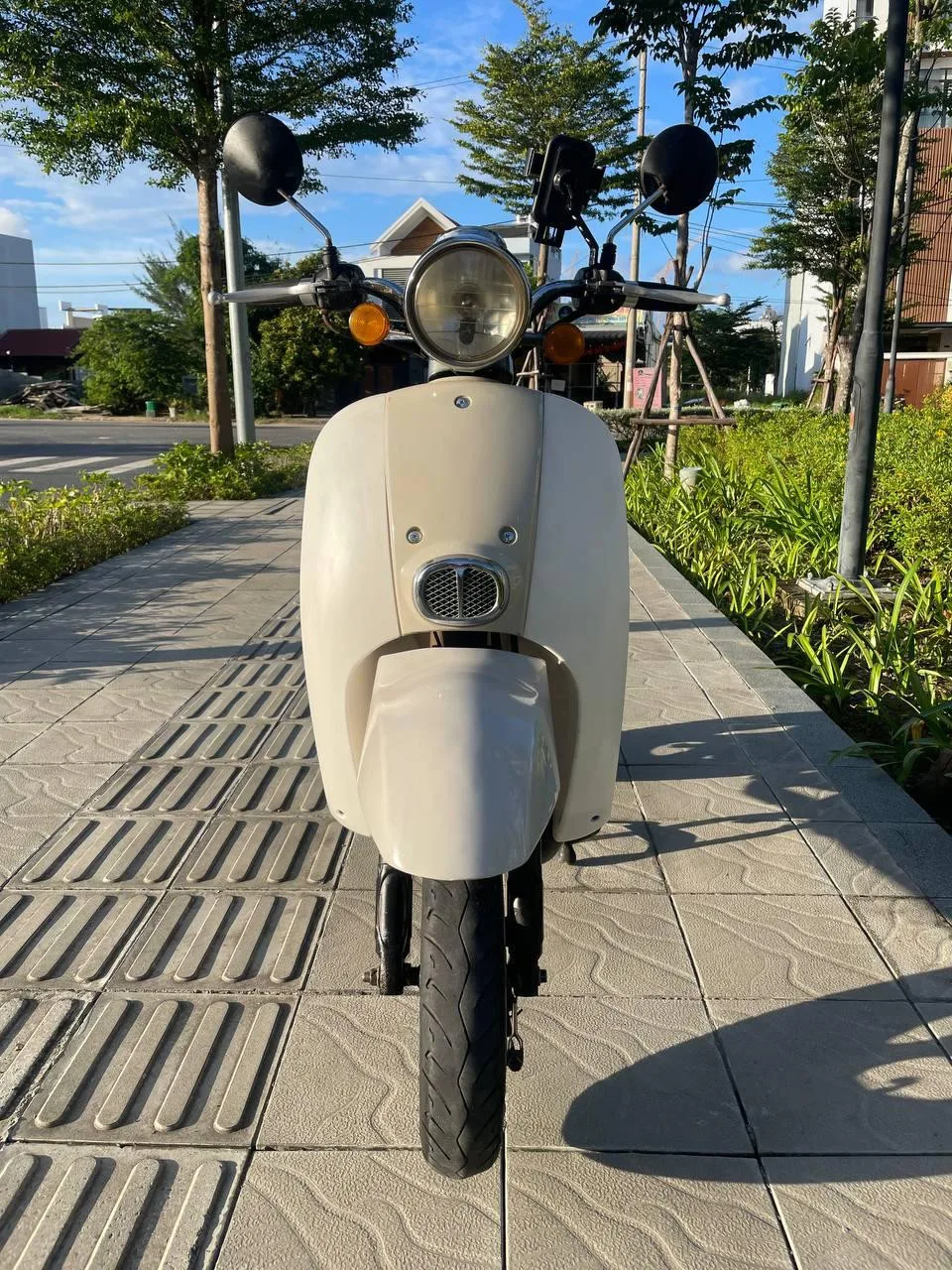 Scoopy Crea 50cc, 2020, фото 2