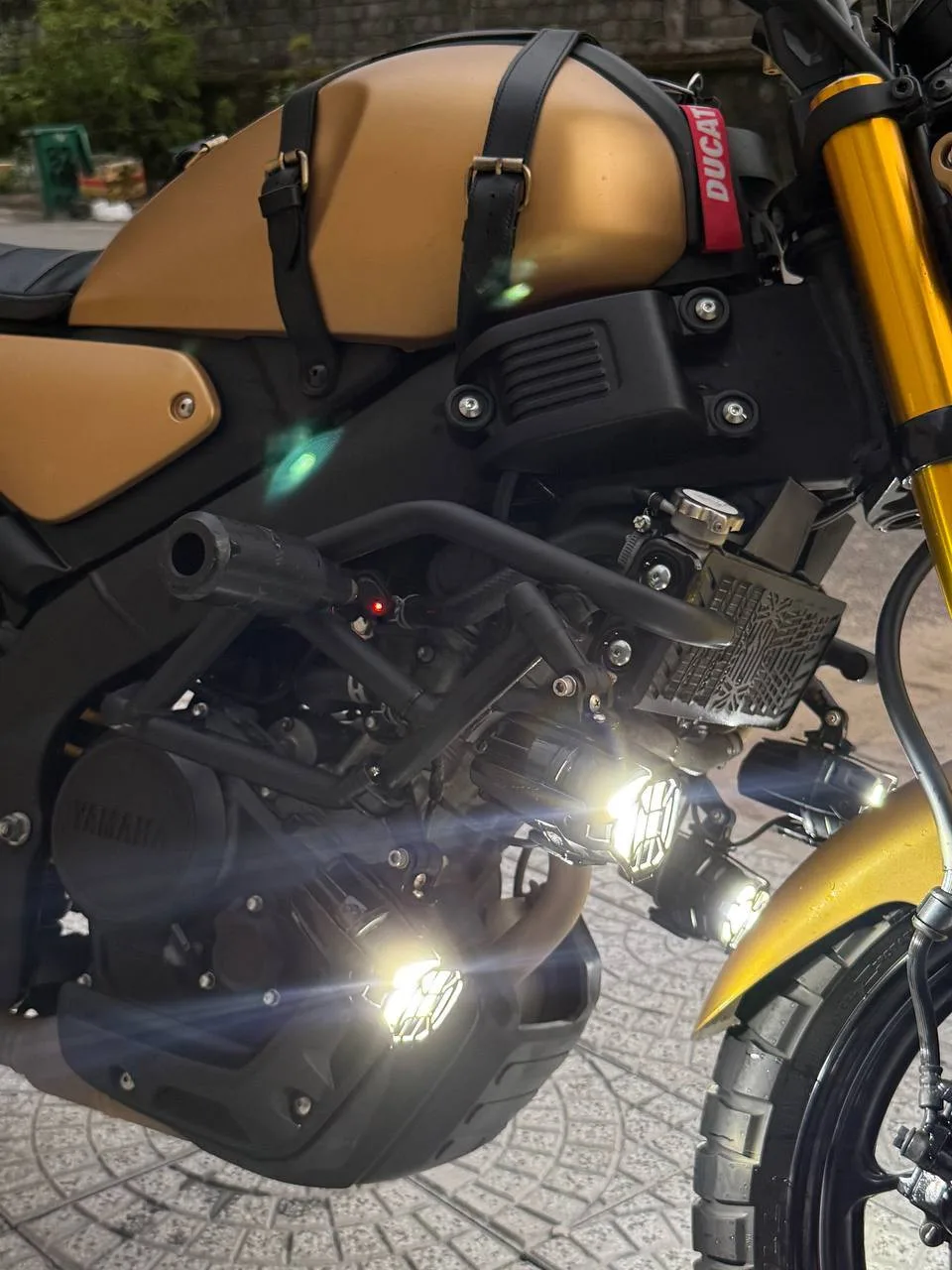Yamaha XSR 155, 2025, фото 3