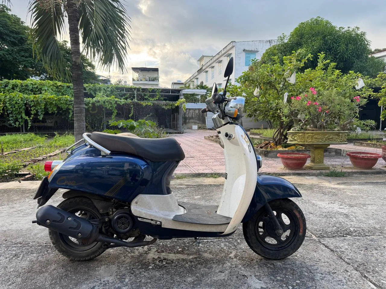 Crea 50cc, 2020, фото 3