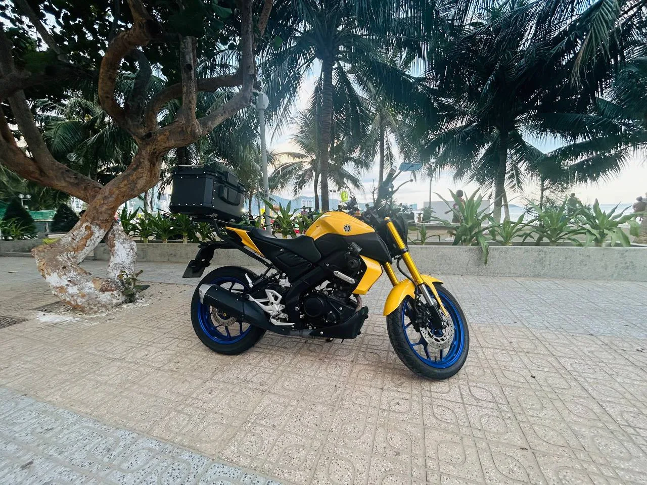 YAMAHA MT15, 2022