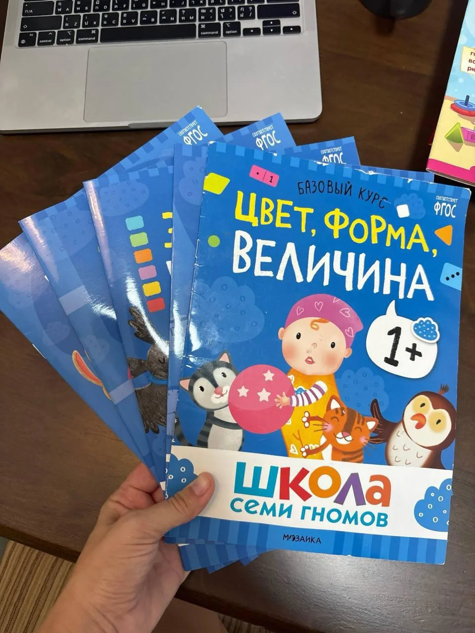 Набор «Школа 7 гномов»