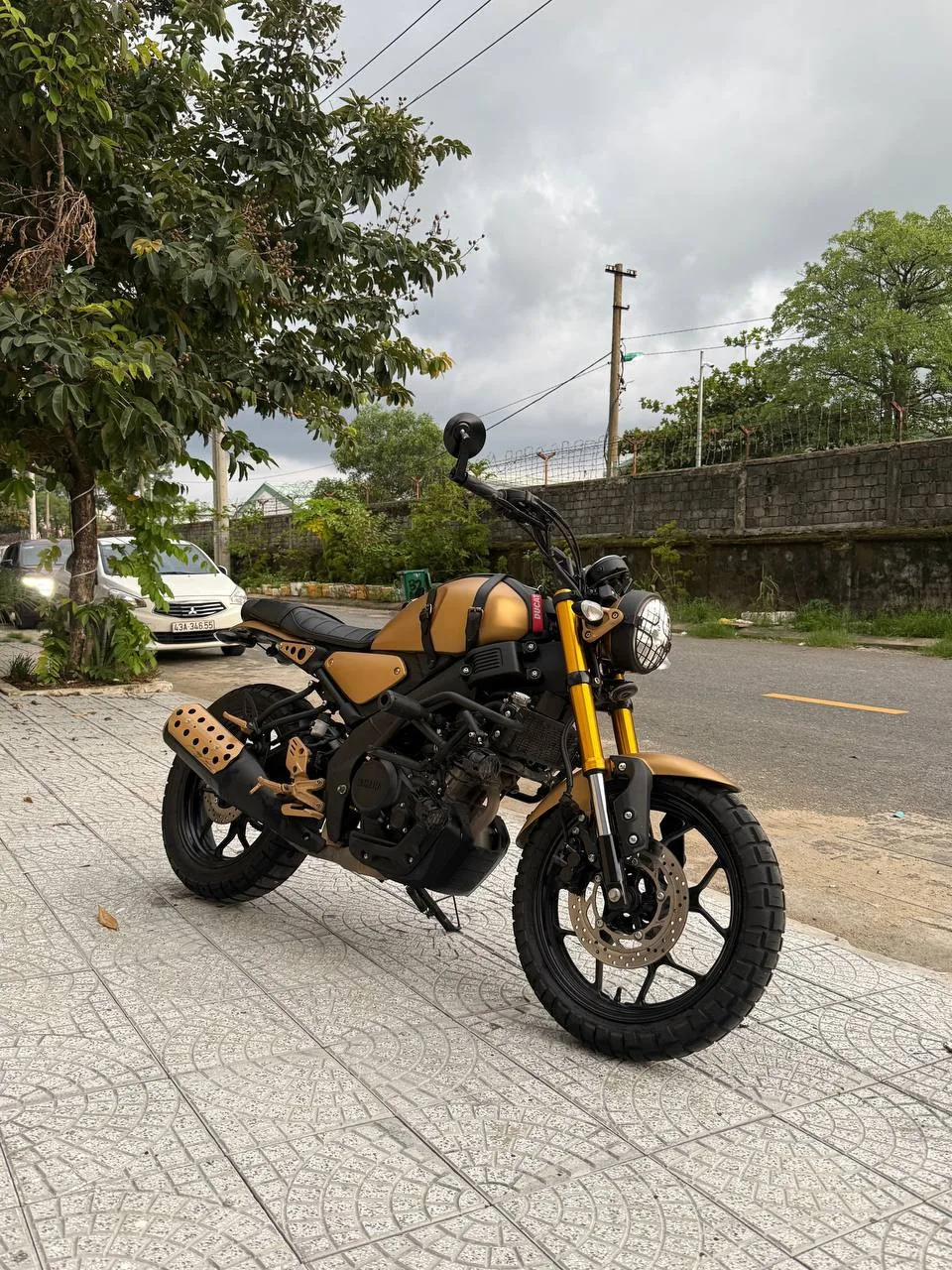 Yamaha XSR 155, 2025