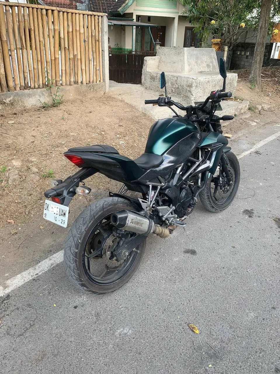 Kawasaki Ninja Z 250 SL, 2014, фото 2