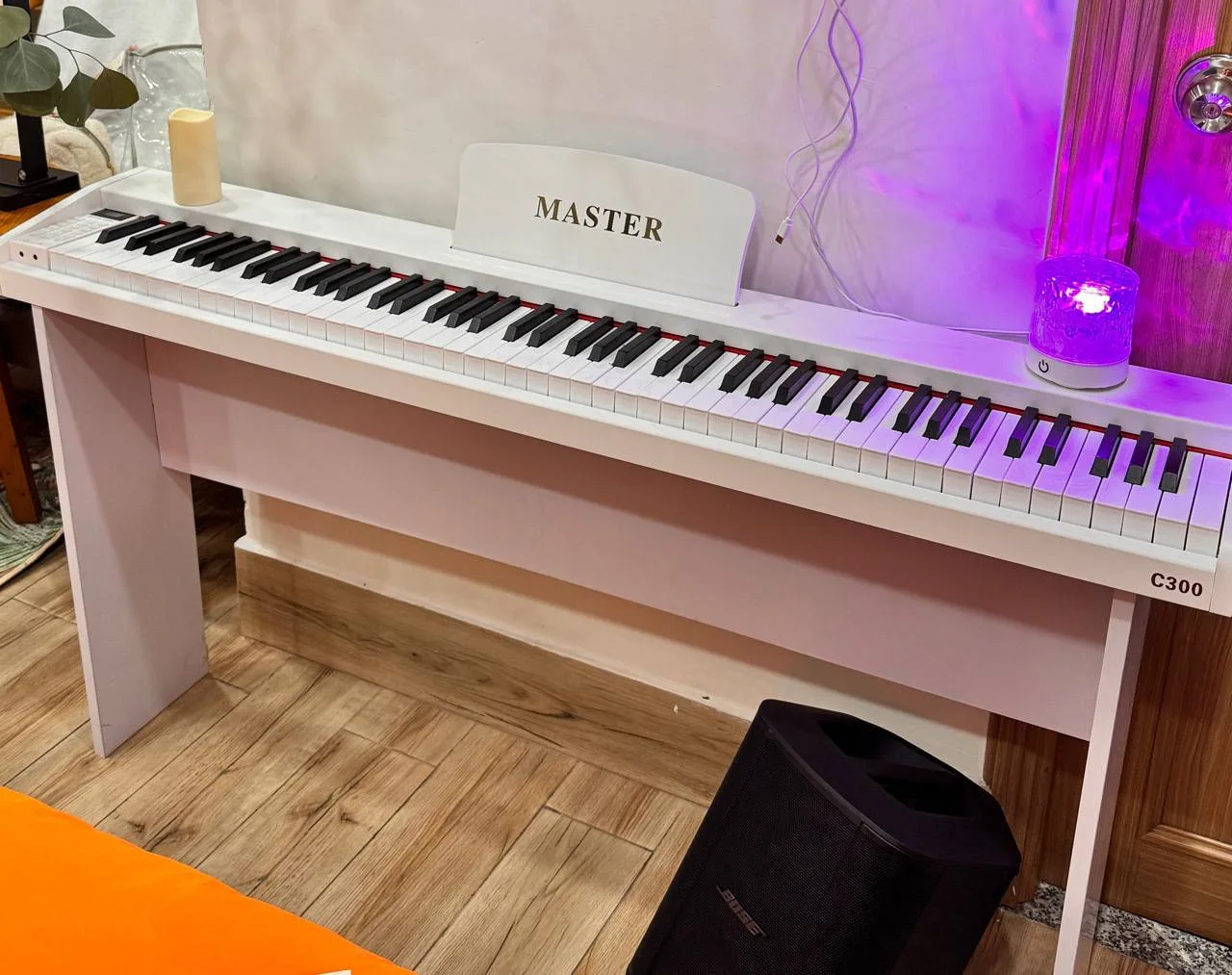 Цифровое пианино Master C300 с подставкой