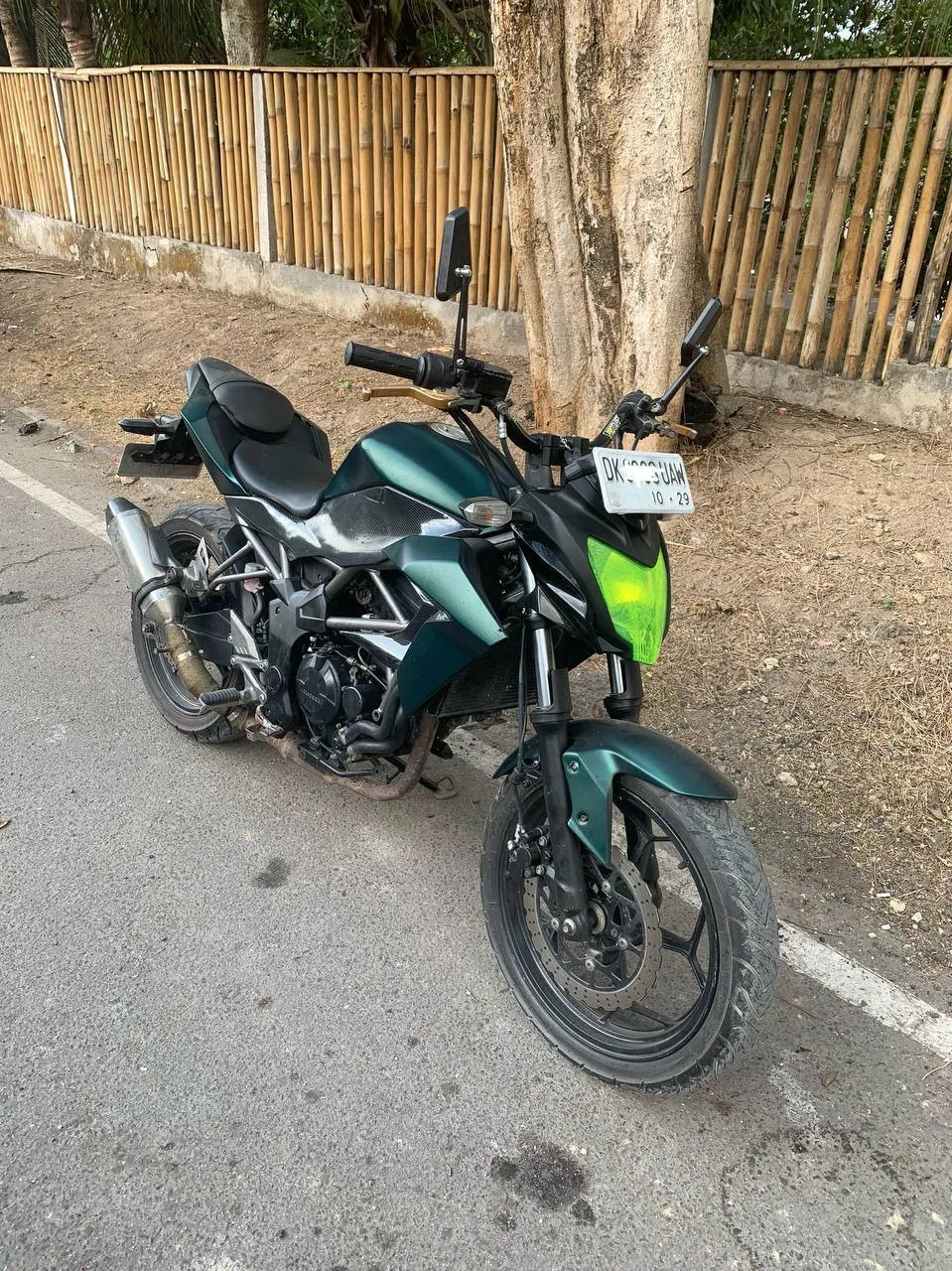Kawasaki Ninja Z 250 SL, 2014