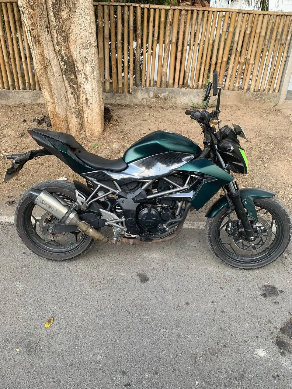 Kawasaki Ninja Z 250 SL, 2014, фото 3