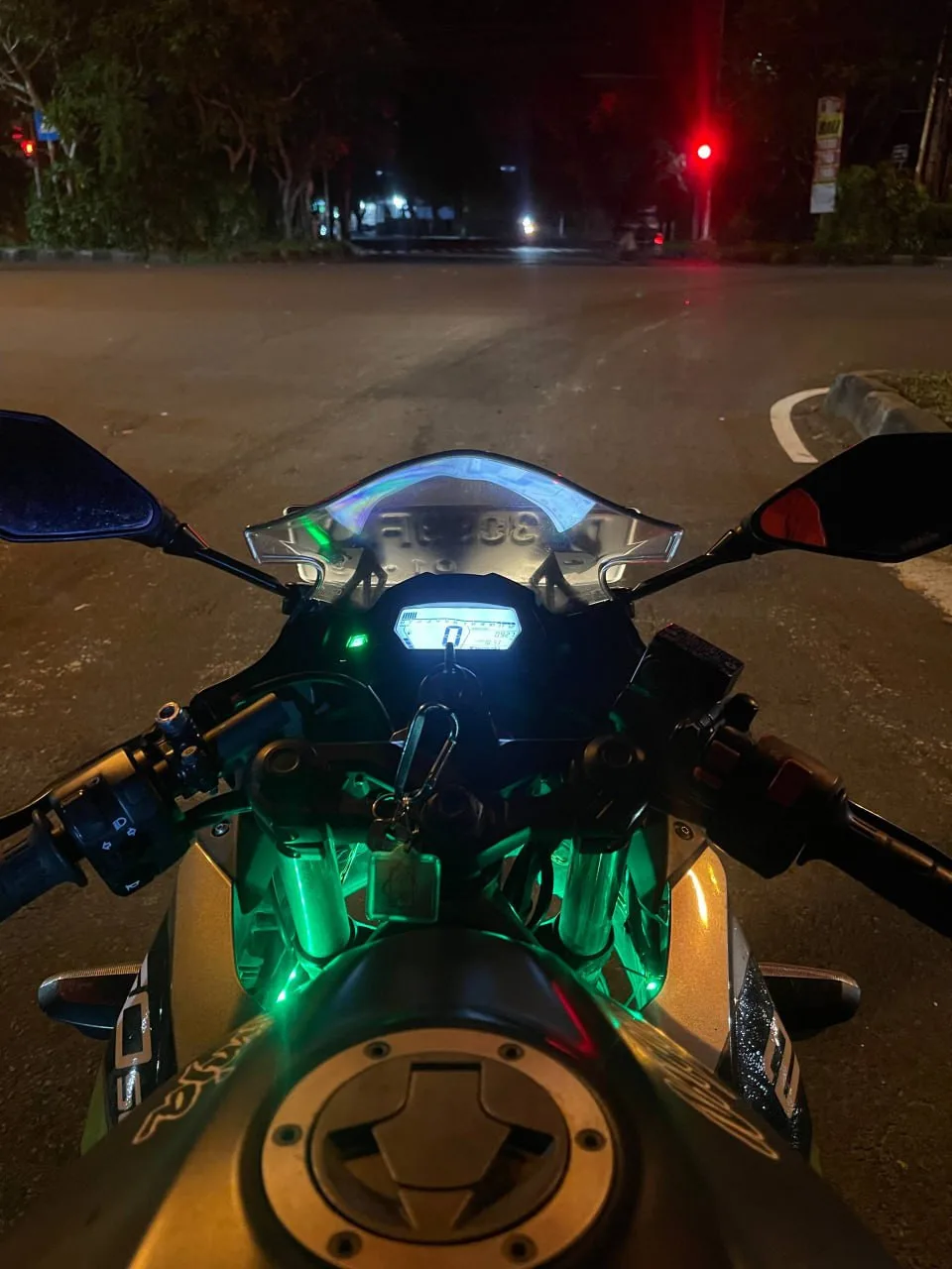 Kawasaki Ninja 250SL, 2018, фото 3