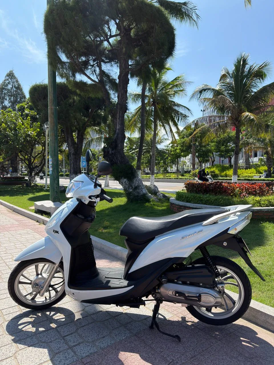SYM Shark 50cc, 2023