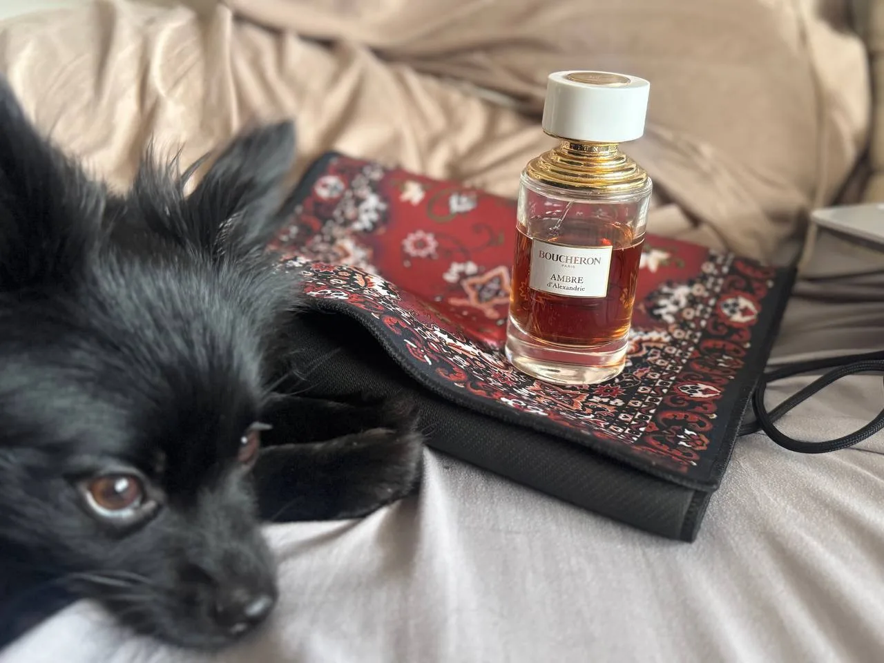 Парфюм Boucheron Ambre d’Alexandrie