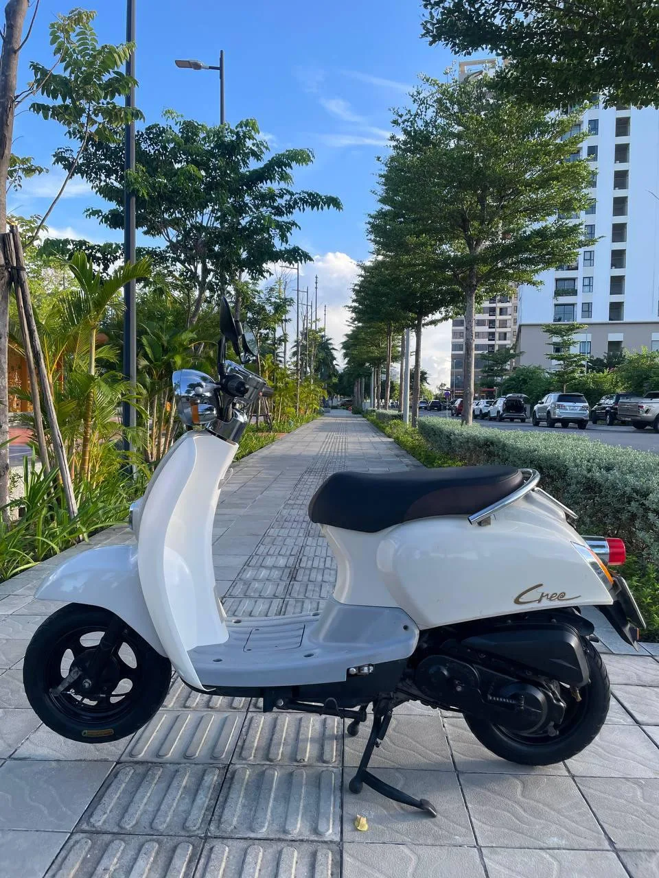 Scoopy Crea 50cc, 2020, фото 4