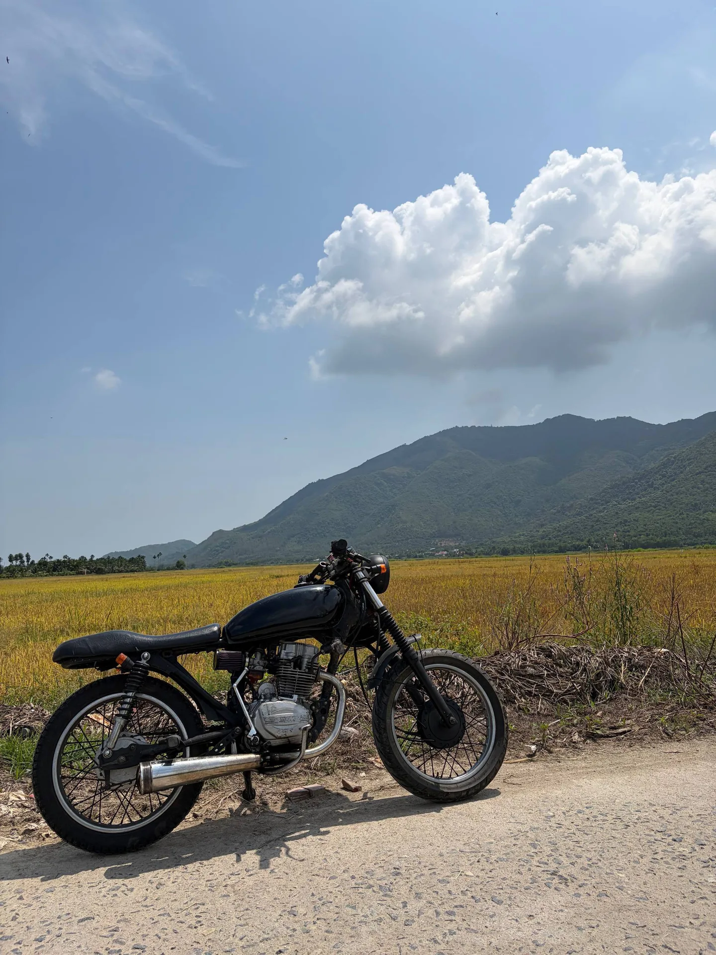 SYM Wolf 125 в стиле Cafe Racer, фото 3