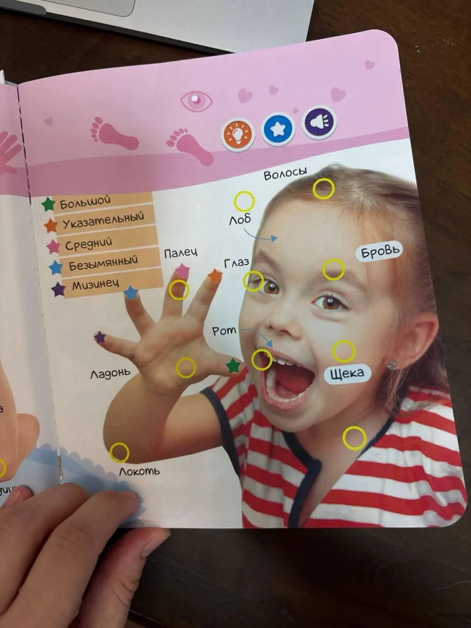 Говорящая книжка-нажималка Berttoys на русском, фото 2
