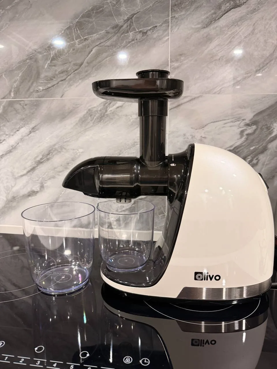 Шнековая соковыжималка Olivo SJ22