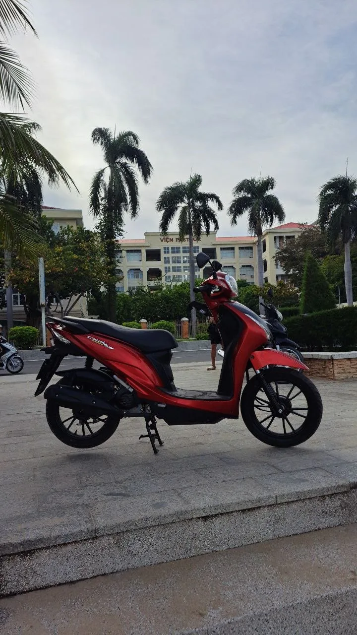 Kymco Candy 50cc, 2023, фото 4