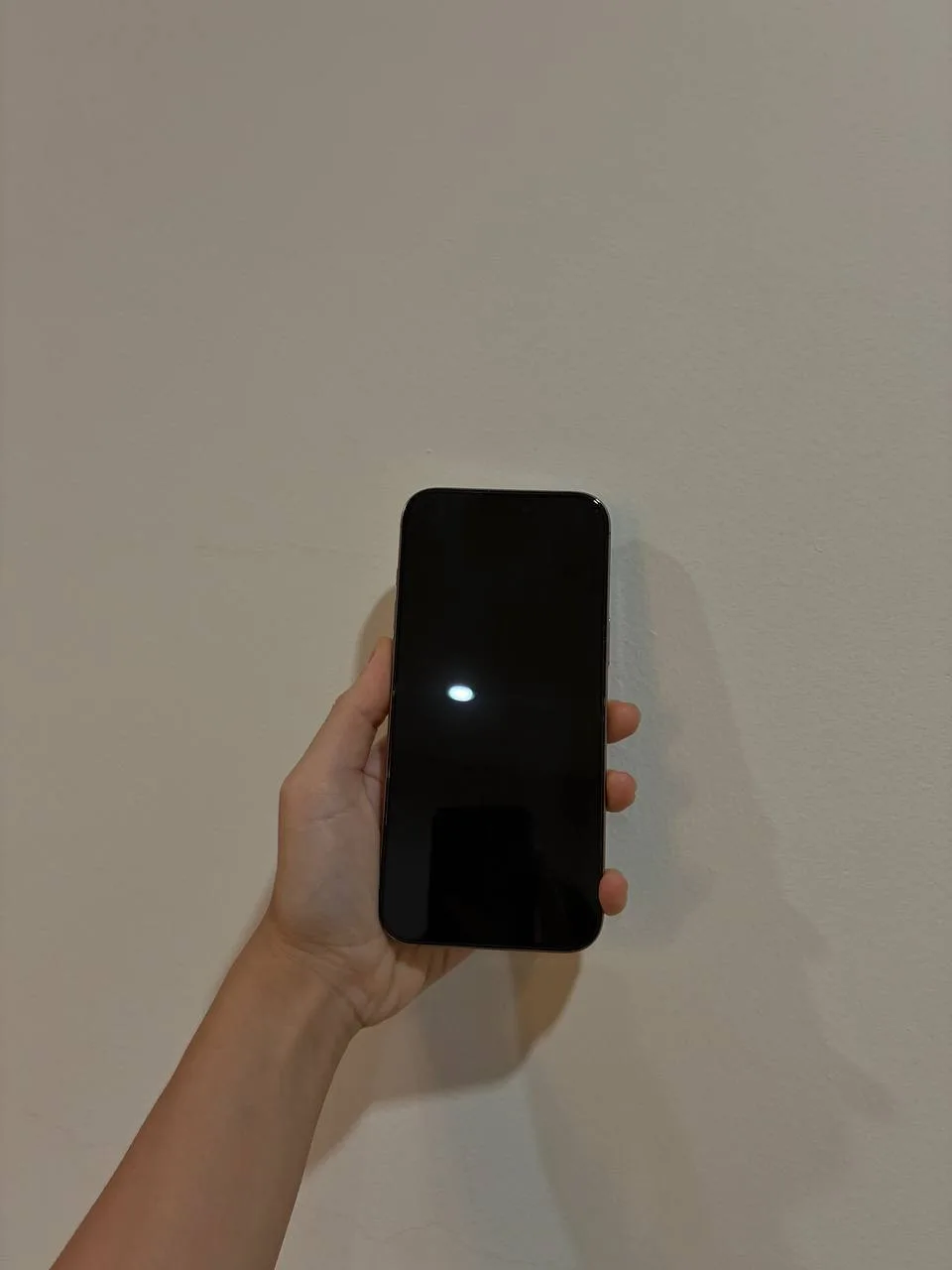 iPhone 16 Pro Max, 256 ГБ, аккумулятор 88%, фото 2