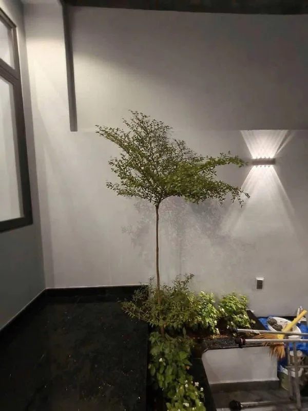 Одноэтажный дом с 2 спальнями, 80 м², Vĩnh Hải, фото 6