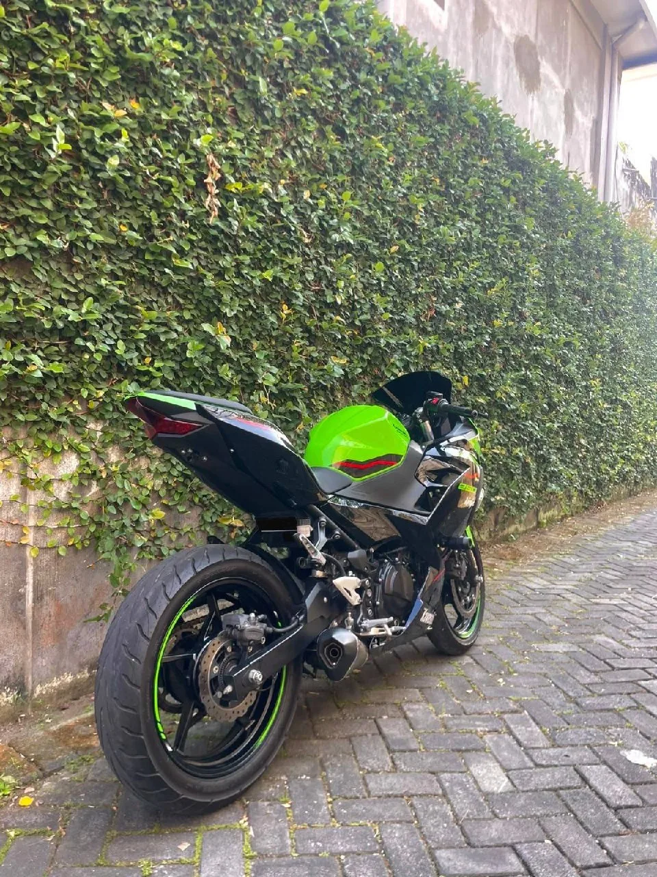Kawasaki Ninja ABS, 2022, фото 4