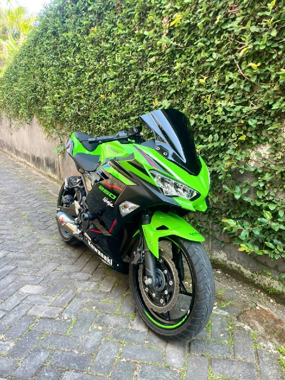 Kawasaki Ninja ABS, 2022