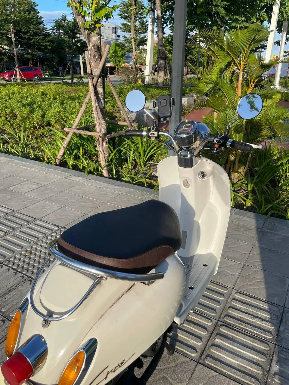 Scoopy Crea 50cc, 2020, фото 3