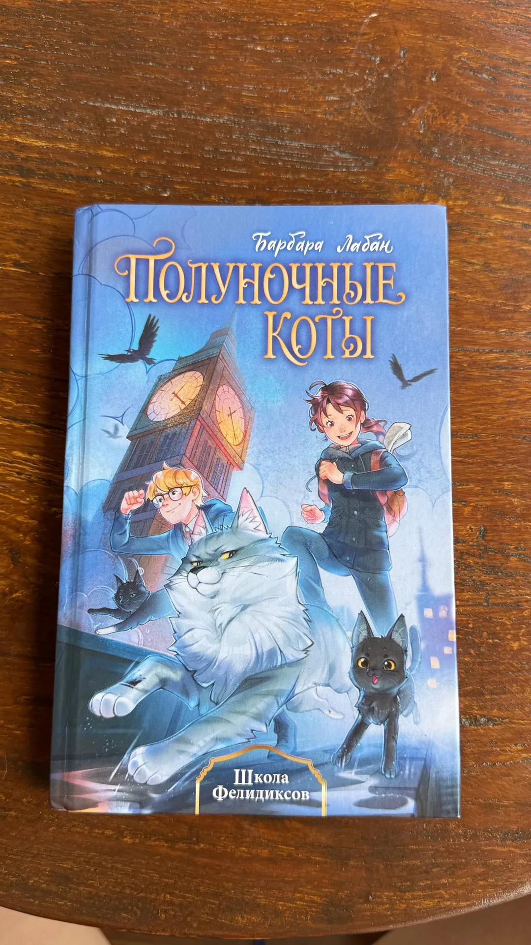 Книга «Полуночные коты», 10+