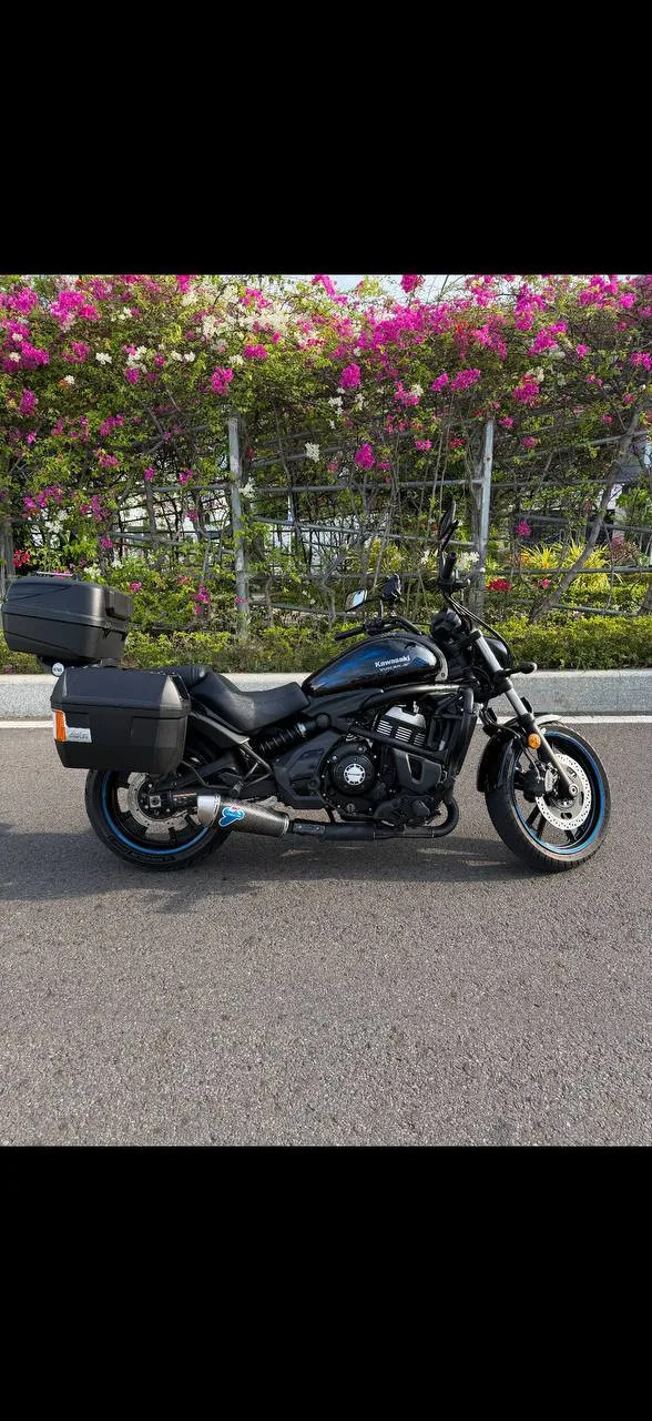 Kawasaki Vulcan 650, 2021, фото 2