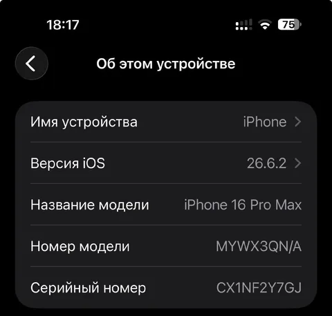 iPhone 16 Pro Max Desert Titanium 256GB, фото 4