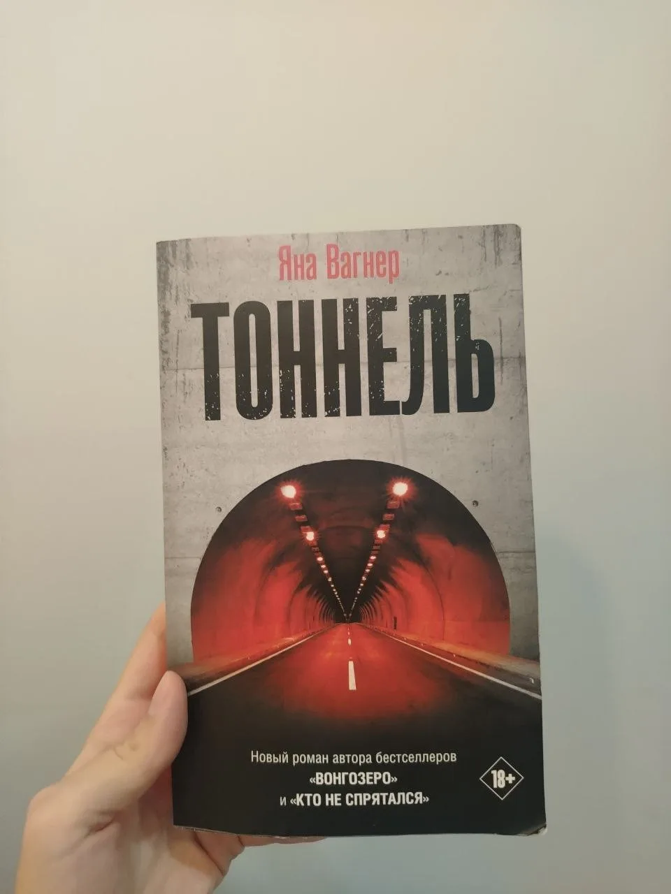 Книга «Тоннель»