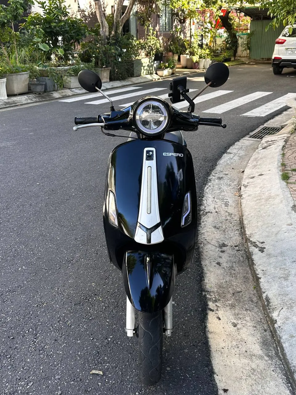 ESPERO 50cc, 2022, фото 2