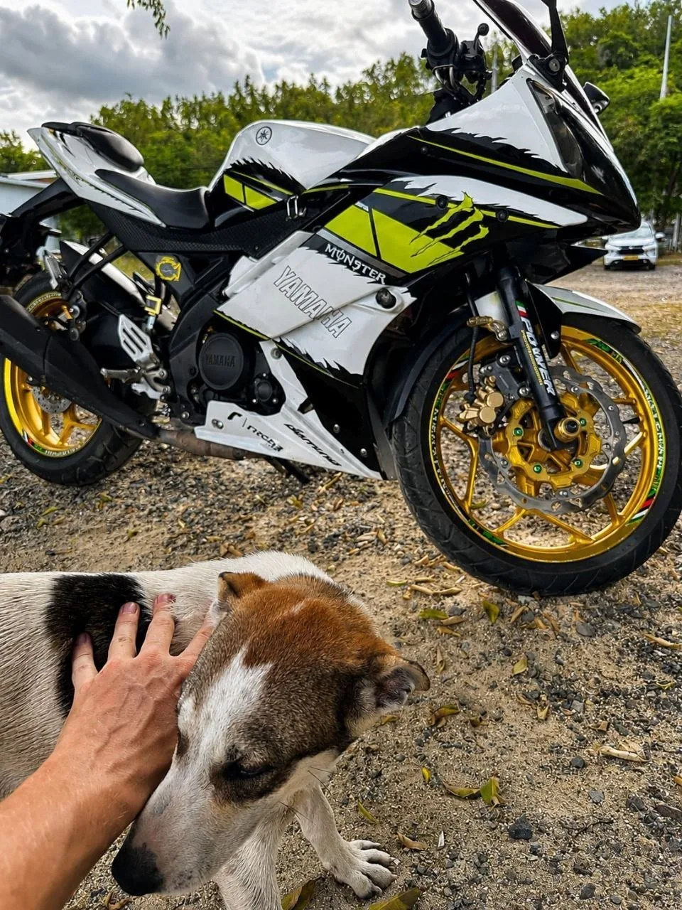 Yamaha R15v2 2015