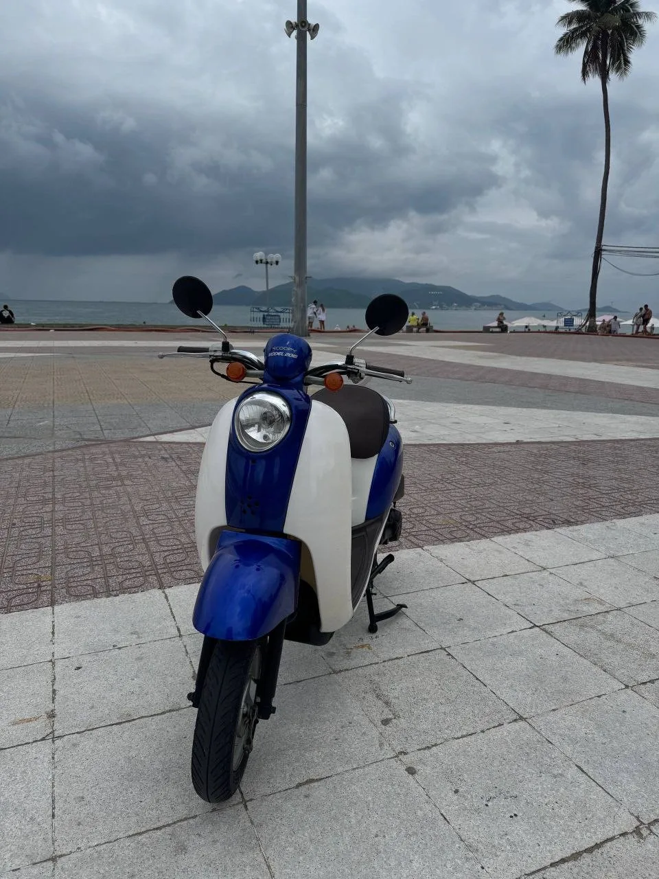 Scoopy 2018, 50 кубов