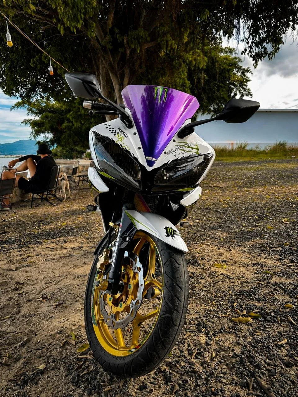 Yamaha R15v2 2015, фото 2